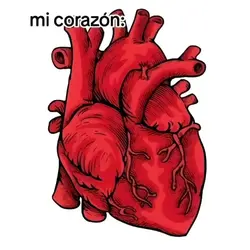 mi corazon: