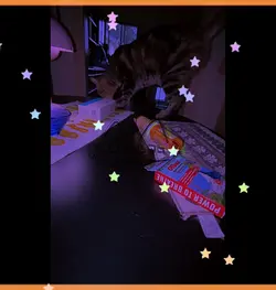 KITTYSS