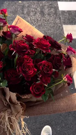 Rose for gift 