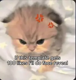 Face reveal 