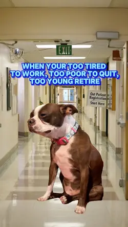 Crying dog meme 