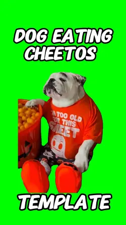 Dog eating Cheetos