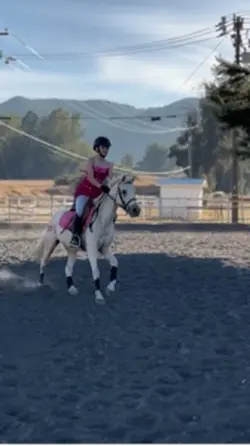 Best pony eve