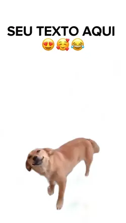 Cachorrinho fofo 😍