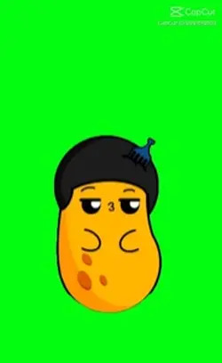 Potato 