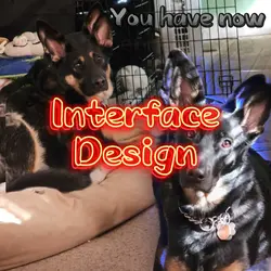 Interface Design