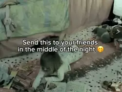 Stealing child