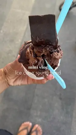 mini vlog