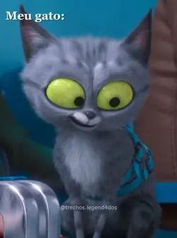 Meme gato