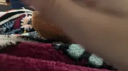 Petting my bearded 