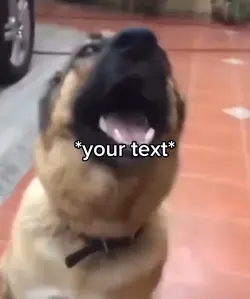 Dog mouth meme