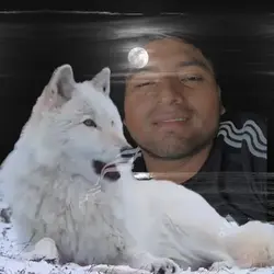 Temerarios 