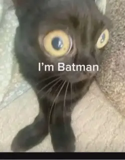 I’m batman