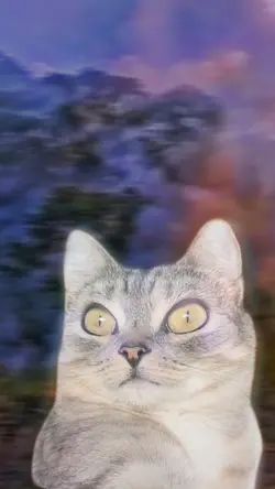 microplastic cat