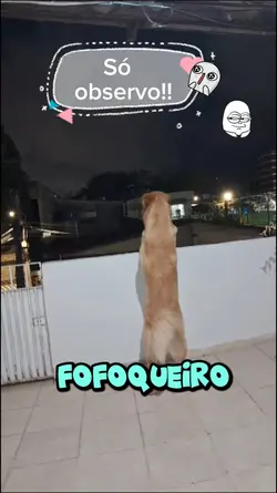 Doquinho Fofoqueiro