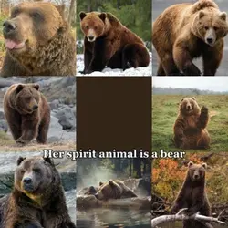 Bear 🐻 