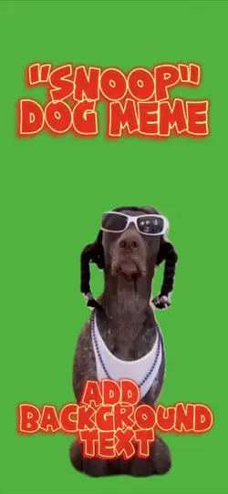 Snoop “Dog” Meme
