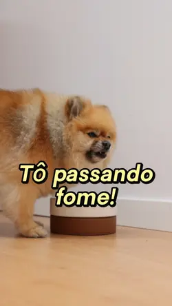 Tô passando fome