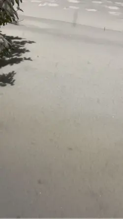 Snowfall