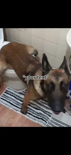 dog pooping meme