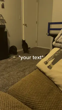 Cat can’t open door