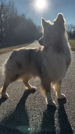 Make her tap out 🐕