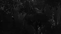 Spino edit