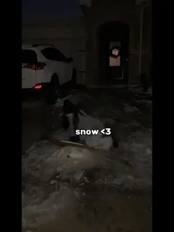 it snowed !!!