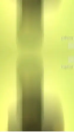 Would you letyourson