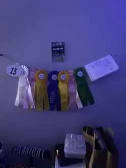 Equestrian gc!!!!!!!