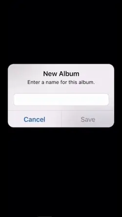 album🌷