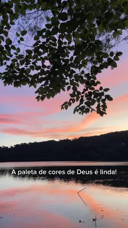 Paleta de cores 