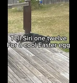 Cool Easter egg