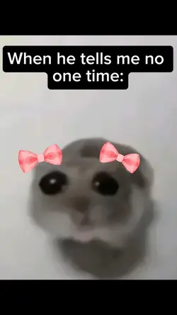 Sad Hamster Meme 