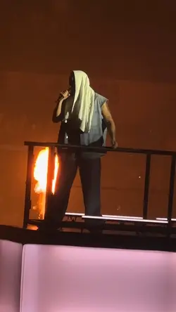 Bad Bunny concert 
