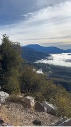 Californi