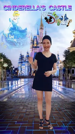 Cinderella Castl