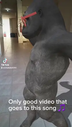 Only good APT vid