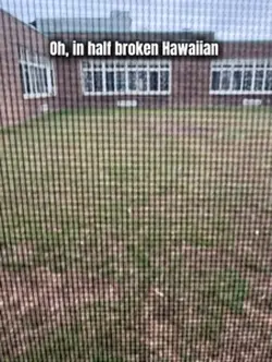 Hawaiian 