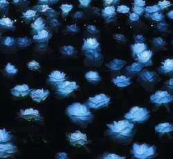 Blue <3