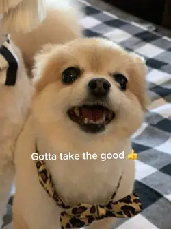 🥰🥰🥰