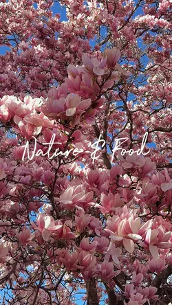 Nature & Food Vibe 