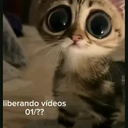 coisa lindaaaa