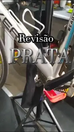 revisão Prata Bike 