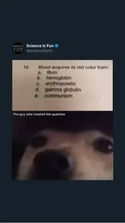 Communist dog