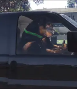 Chop&Franklin