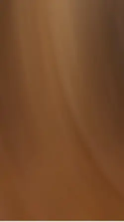 CEO 