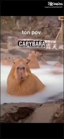 CapyBara!