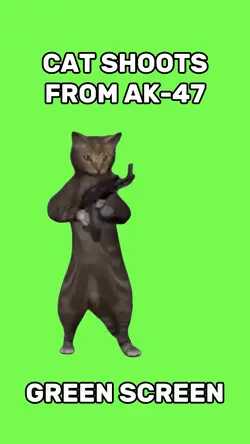 Cat Shoots from AK47