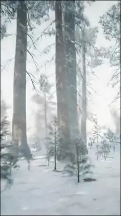 floresta neve 